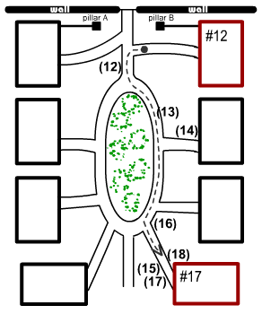 Sierra Bonita West-Courtyard (12) - (18)